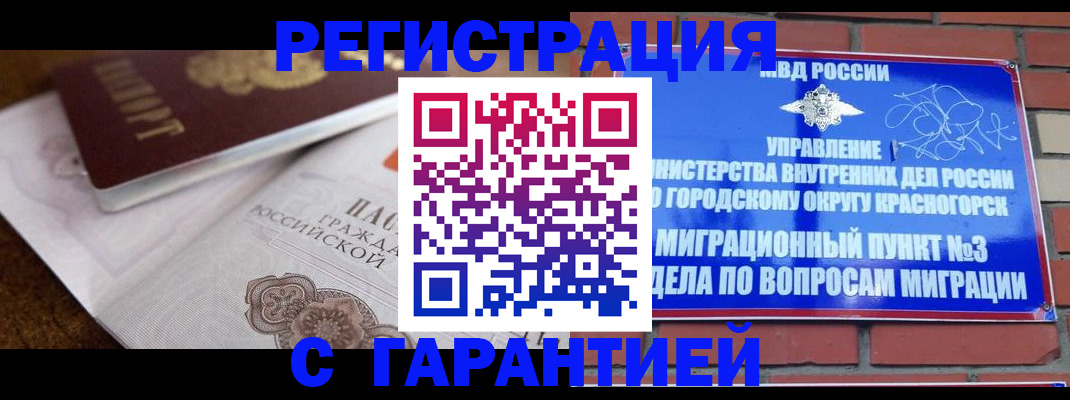 прописка 2025 в Химках